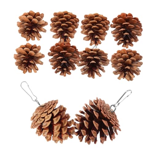 GANAZONO 10p Rfނ̏ڂ萻 ȒP݂艺^pbggC o[hP[Wp̂낢fUCŃR~jP[VXgX