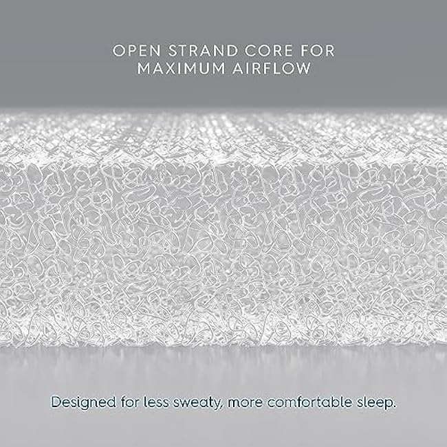 HALO DreamWeave Breathable Mesh BassiNest Pad ¨C 100% Washable Cover and Core ¨C Hypoallergenic, Non-Toxic Materials