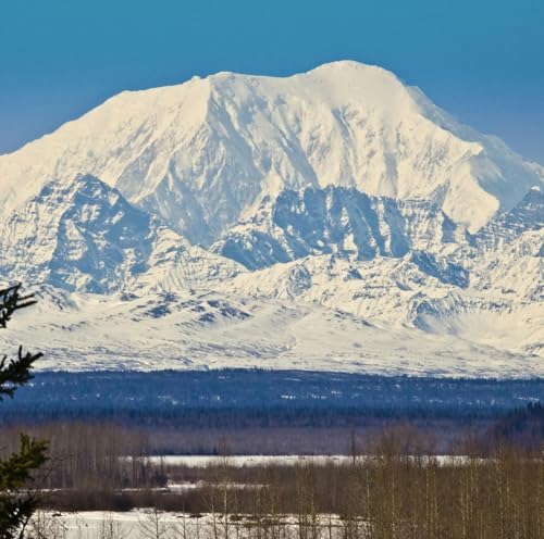 『The Bigger Picture: The Alaskan summit, Vance in the UK & Reeves and the economy - 14 Aug 25』のカバーアート