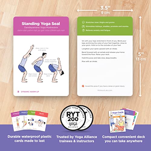Workoutlabs Yoga Cards – Beginner: Visual Study, Class Sequencing & Practice Guide With Essential Poses, Breathing Exercises & Meditation · Plastic Flash Cards Deck With Sanskrit #TOP3