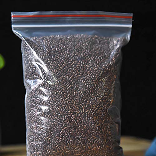 通用 50g-500g Té de Cassiae a Base de Hierbas Té Negro Tradicional de China Mejora la agudeza de la visión Saludable (100g… - Imagen 3