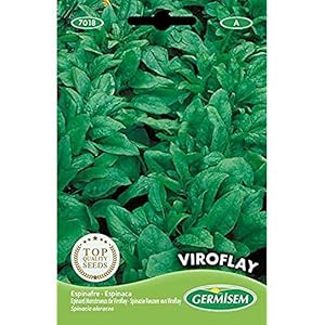 Germisem EC7018 Viroflay Spie Zaden 15 g