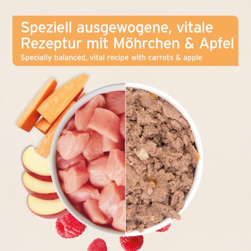 AniForte Hundefutter Nass Junior Huhn 6 x 400g – Natürliches Nassfutter für Welpen & Junghunde, hoher Fleischanteil, Premium Welpennassfutter getreidefrei