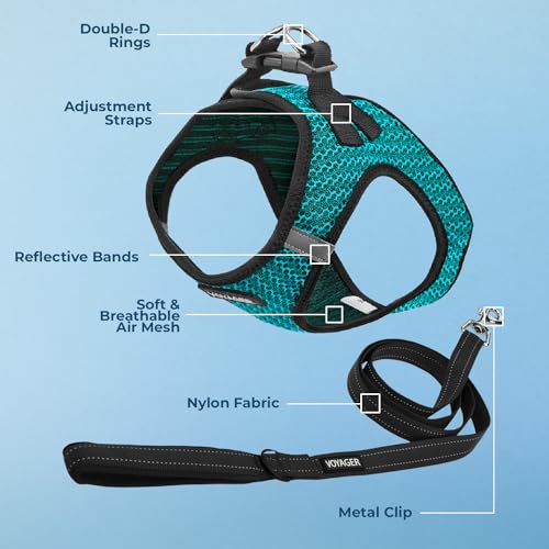 Image of Voyager Step-in Air All Weather Mesh Harness and Reflective Dog 5 ft Leash Combo with Neoprene Handle, for Small, Medium and Large Breed Puppies by Best Pet Supplies - Turquoise (2-Tone), XS
