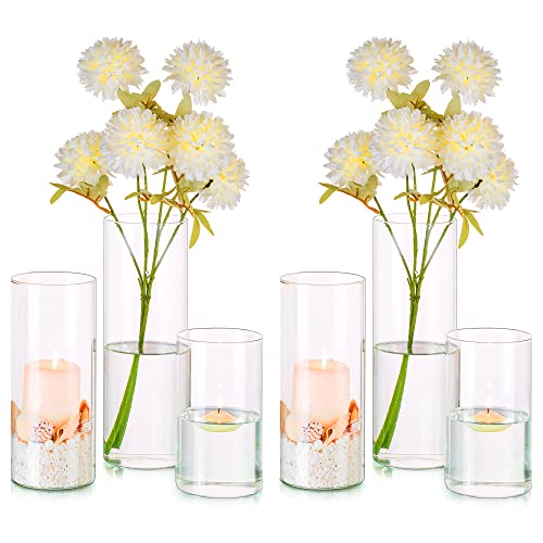 Hewory Vases Cylindriques en Verre Lot de 6, Grand Vase en Verre Transparent pour Fleurs, Support de Bougie pour Bougie Pilier Flottante, Vase à Fleurs pour...