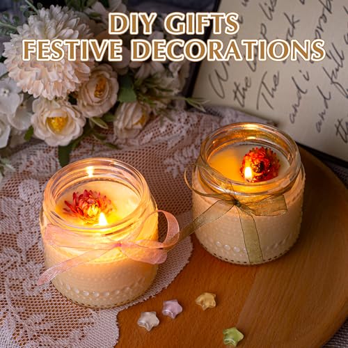 WACOI Mason Jars 8 Oz with Lids 12 Packs, Vintage Small Glass Canning Jars with Silver Metal Lids for Storing, Pickling, Honey, Jam, Home Decor, Candle and DIY Crafts