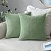 MIULEE 2er Set Kissenbezüge Kordsamt Kissenbezug Zierkissenbezug Dekokissen Sofakissen Kord Kissenhülle Dekorative Zierkissenbezüge Kissen für Sofa Sessel Zuhause Schlafzimmer 40x40 cm Bohnengrün Set aus günstig Kaufen-MIULEE 2er Set Kissenbezüge Kordsamt Kissenbezug Zierkissenbezug Dekokissen Sofakissen Kord Kissenhülle Dekorative Zierkissenbezüge Kissen für Sofa Sessel Zuhause Schlafzimmer 40x40 cm Bohnengrün