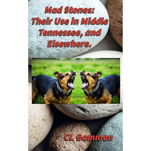 Mad Stones: Their Use in Middle Tennessee, and Elsewhere. Audiolibro Por CL Gammon arte de portada