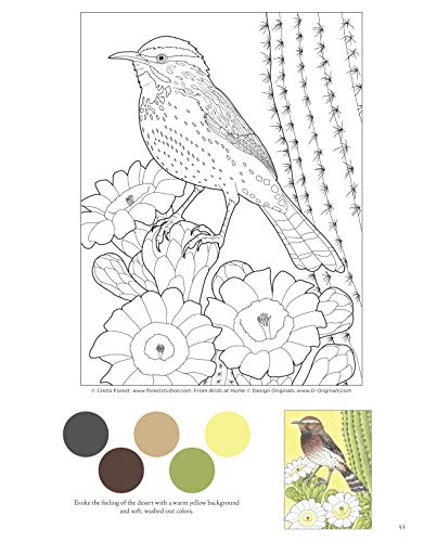 Birds at Home Coloring Book: 50 State Birds and Flowers (Design Originals) From Alabama's Camellia to Wyoming's Meadowlark with 24 Removable Cards, Common & Scientific Names, and 12 Inspiring Examples - Image 6
