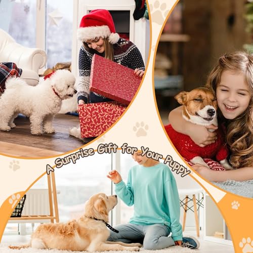 Mauepersu Krallenschleifer für Hunde mit Snack-Box,mit Leckerlibox Hunde Kratzbrett für Nägel Stressfrei Kratzbrett für Hundekrallen Sandpapierbrett Scratch Board Dog,Alternative Krallenschleifer