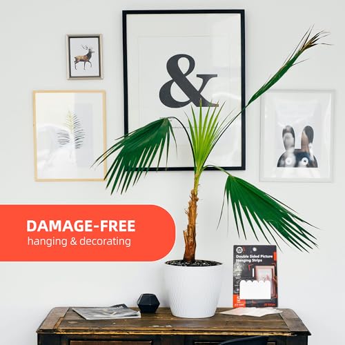 Image of Breliter Double Sided Picture Hanging Strips - 20Pcs Self Adhesive Picture Hanger Kit for Wall, Removable and Damage Free Picture Hanging Adhesive Strips - Medium