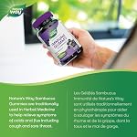 Nature's Way Gummies De Soutien Immunitaire Sambucus – Sureau Avec Vitamine C & Zinc – Soutient La Fonction Immunitaire Et Soulage Les Symptômes Du Rhume & De La Grippe – Végétarien, Sans Gluten Pour Adultes & Enfants 4+ – 60 Gummies