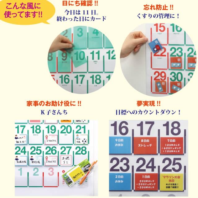 Amazon | シーガル 2025 ビニールポケットカレンダー | カレンダー