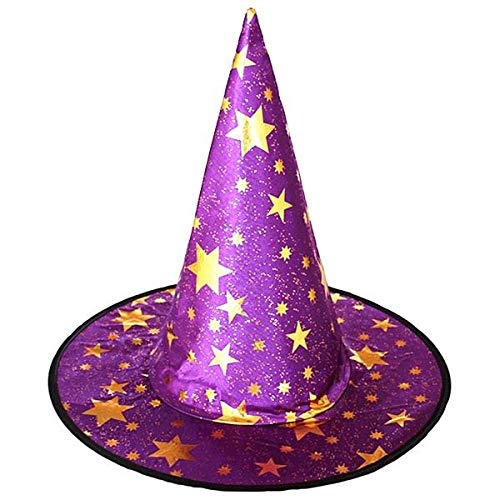 Wizard Hat Purple & Gold, Witches pointed hat, Halloween Fancy Dress Accessory