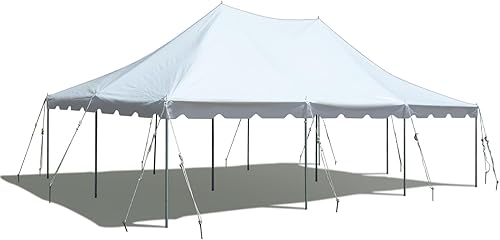 TentandTable Tienda de campaña con toldo de alta calidad de 20 x 30 pies, color blanco, para exteriores, capacidad de 60 a 120 personas para