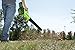 Greenworks 24V Axial Blower (100 MPH / 330 CFM), 2.0Ah Battery and Charger