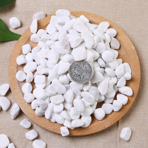 Image of 1 Lb /460g White Stones Decorative Pebble Rock Sand for Aquarium /Fish Turtle Tank /Vase Filler /Succulent Plants Decoration (Fill 1 Cup)