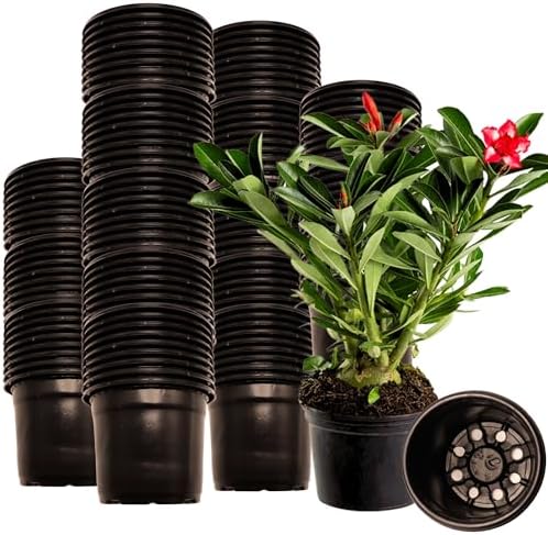 Kit 100 Vasos para Mudas e Plantas Pequenas Pote NP 6 - Flexível,...