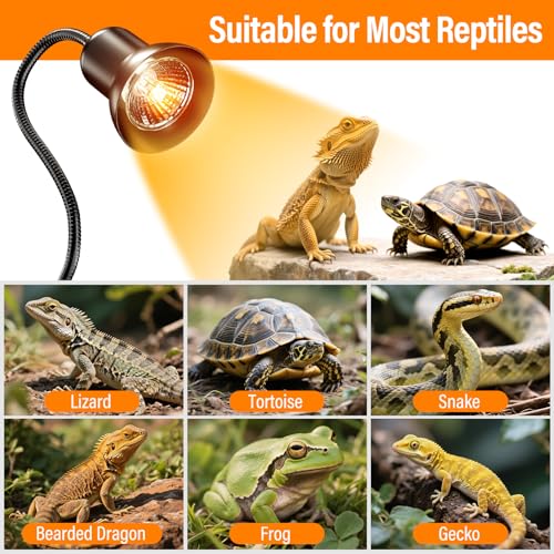 Image of TFNN Reptile Heat Lamp, Heat Lamp with Clamp, UVA UVB Reptile Light with Intelligent Cycle Timer for Turtle, Bearded Dragon, Lizard and More, 2 Bulbs 50W+75W