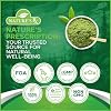 Nature's RX | #1 RATED Greens & Reds Superfood | Strengthen Immune System, Reduce Bloating | 17 Powerful Ingredients | 100% Naturally Sourced & 3rd Party Tested Ingredients - 28 Servings