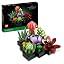 Succulents 10309