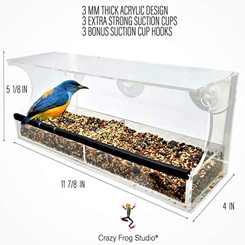 Crazy Frog Studio - Premium Window Wild Bird Feeder With Transparent Covered Feed Area, Drainage Holes, Extra-Strong Suction Cups, Removable Food Tray, Comfortable Rubber Perch #TOP5