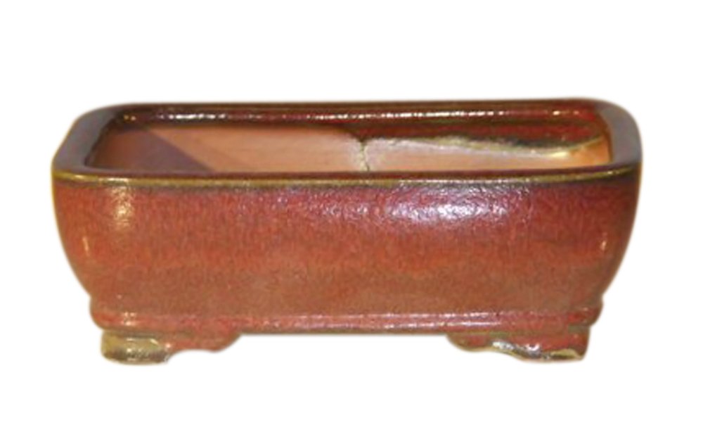 Bonsaiboy Parisian Red Ceramic Bonsai Pot - Rectangle 7.0 x 5.5 x 2.375