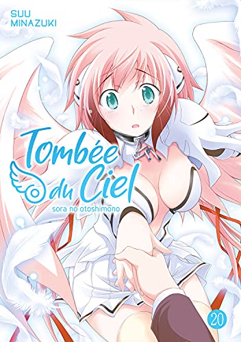 Tombée du Ciel — Tome 20