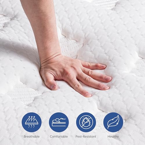 Twin Mattress, 12 Inch Hybrid Mattress with Individual Pocket Springs & Comfort Memory Foam, Twin Size Bed for Pressure Relief & Targeted Support, Medium Firm