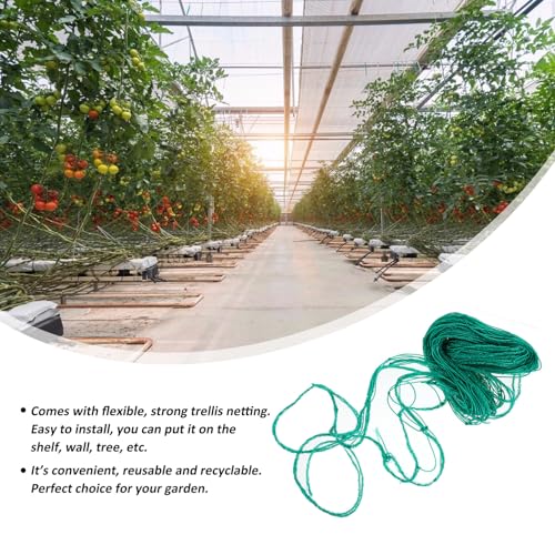 Filet potager pour concombre et tomates sur balcon ou en serre