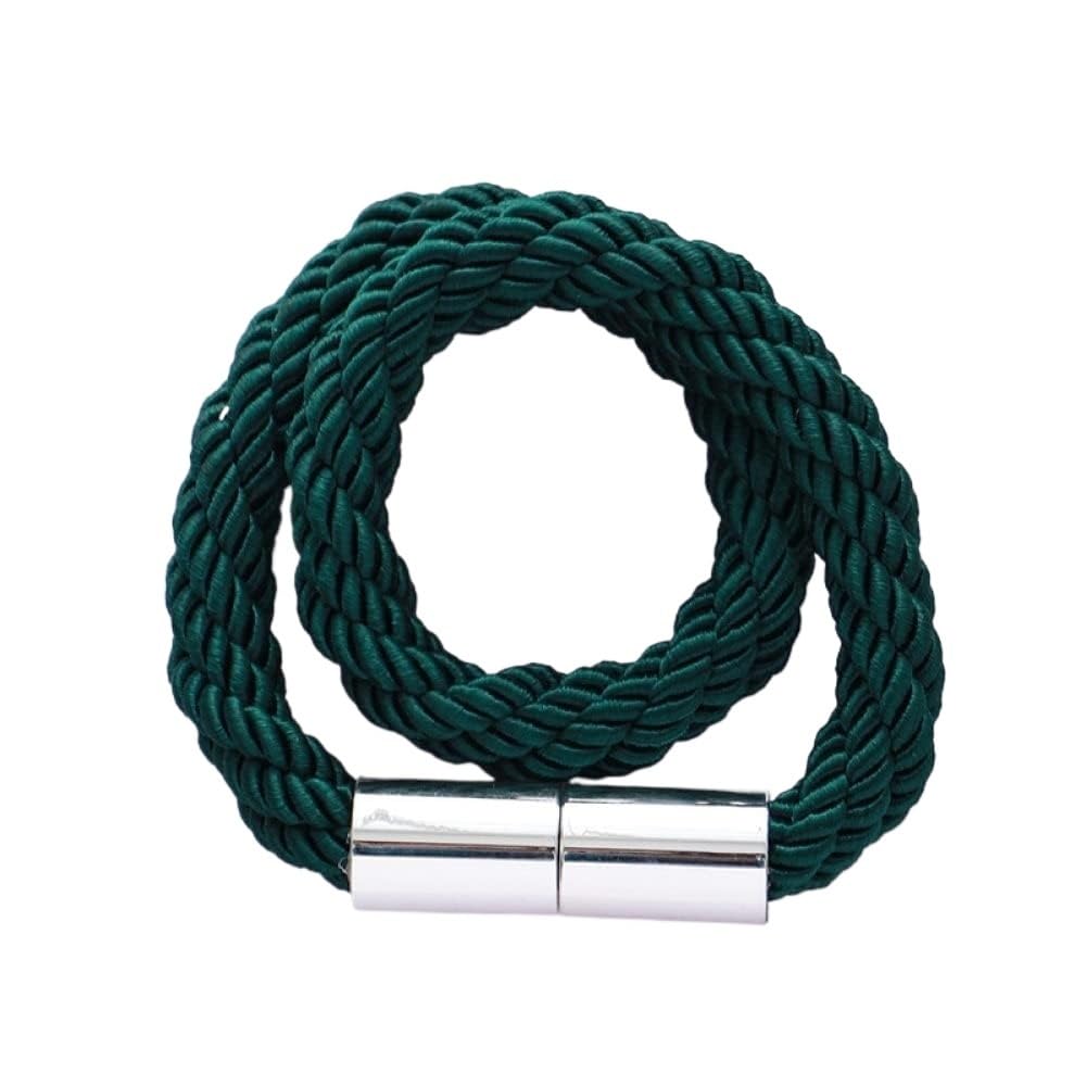 Curtain Tie Backs, Metal Curtain Magnetic Buckle Strap Creative Simple tiebacks Holders 2pcs(Green)