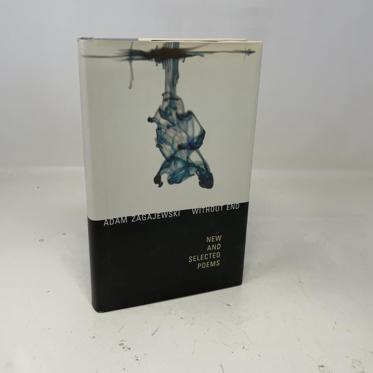 Without End Zagajewski, A