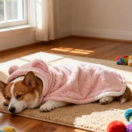 Housse à capuche pour petits moyens grands chiots contre le froid