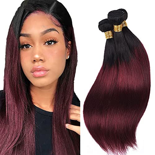 AuokMar 20 22 24 Inch 1b/99j Burgundy Human Hair Bundles Ombre Human Hair Bundles 3 Bundles Tow Tone Black To Red Natural Brazilian Remy Hair Straight Brazilian Real Hair Weft Real Human Hair Bundles