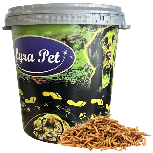 Lyra Pet® | 5 kg Mehlwürmer getrocknet in 30 L Tonne | Proteinreiches Vogelfutter | Für Wildvögel, Nager & Fische | Nahrhaftes Futter | Energiespender für Insektenfresser | Vitamine & Mineralstoffe