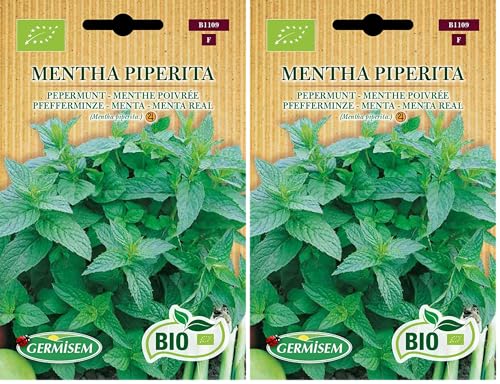 Germisem Orgánica Mentha Piperita Semillas de Menta 3 g, ECBIO1109 (Paquete de 2)