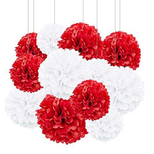 ZooYoo Lot de 12 Pompons en papier de soie à Suspendre pour fête décoration, plafond, mur, 2...