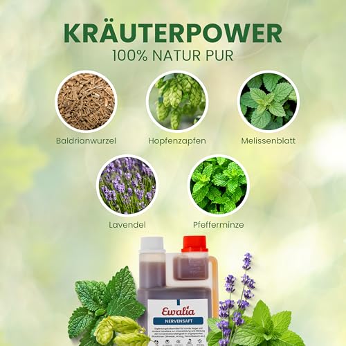 NEU! EWALIA Nervensaft für Hunde - Beruhigung und Balance für Ihr Haustier in stressigen Zeiten - mit Tierärzten entwickelt, 100% Natur pur, frei von Zusätzen, zertifizierte Inhaltsstoffe - 500ml
