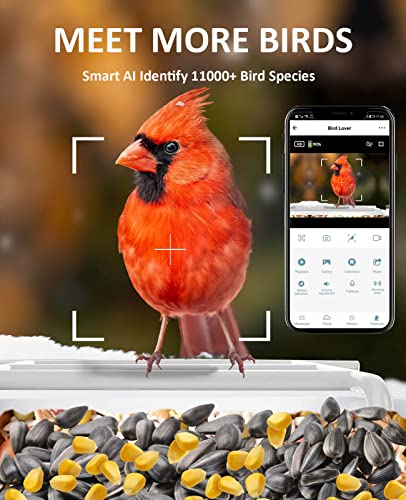 Smart Bird Feeder With Camera Wireless Outdoor, Camera Bird Feeders For Outside, Solar Energy Generation, 1080P Hd, App Connection, Ip65 Waterproof, Ai Identify Bird Species, Free 64G Tf Cards #TOP20