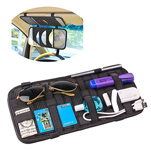 TFY Organizador Visor Coche-Sostenedor Almacenaje Tarjeta y Accesorio Electrónico – Triple capa, 20 Bolsillos Sostenedor CD Almacenaje