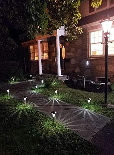 Enchanted Spaces Bronze Solar Path Light, Set of 6, with Glass Lens, Metal Ground Stake, and Extra-Bright LED for Garden, Lawn, Patio, Yard, Walkway, Driveway