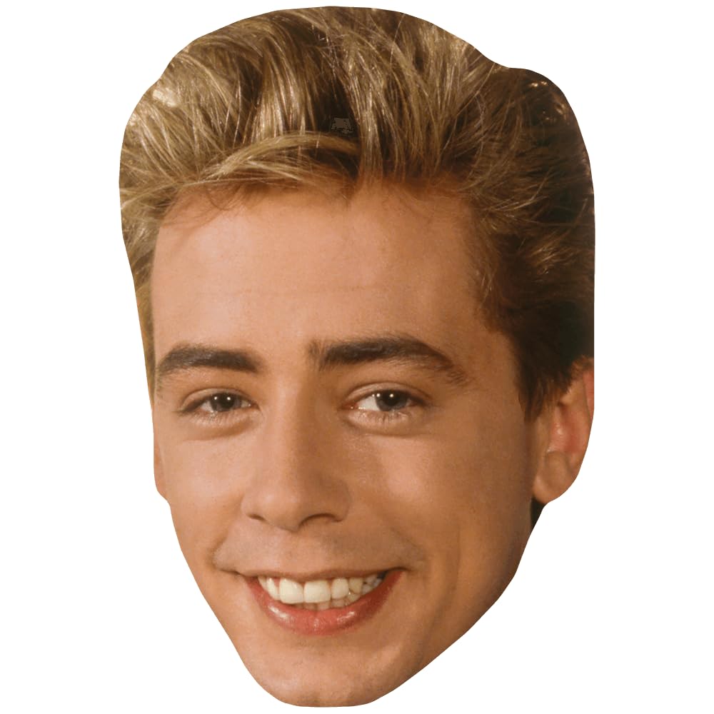 Celebrity Cutouts Lifelike Nick Heyward (Young) Celebrity Mask, Flat Card Face, Fancy Dress Mask