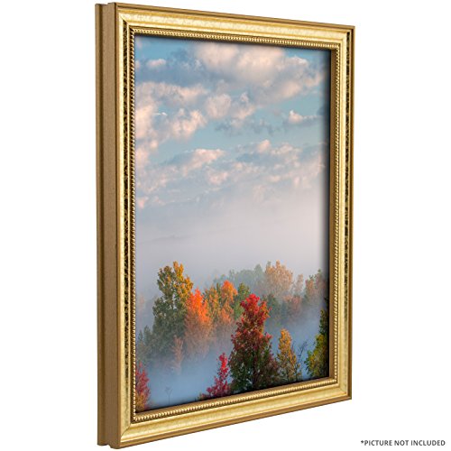 Craig Frames 314GD 24 x 36 Inch Picture Frame, Ornate Gold, Set of 2 by Craig Frames - Image 3