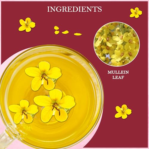 Image of Tealeaf & Co. Mullein Leaf Tea Blended with Fresh Herbs - Pure Herbal Tea Bags with Mullein Leaf Extract - Flavored Herbal Blend - Low Caffeine - Gluten Free - 50 Teabags