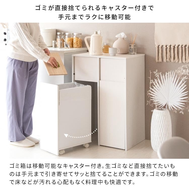 Amazon｜ゴミ箱 45L 分別 ふた付き DB-F2100 キャスター キッチン 