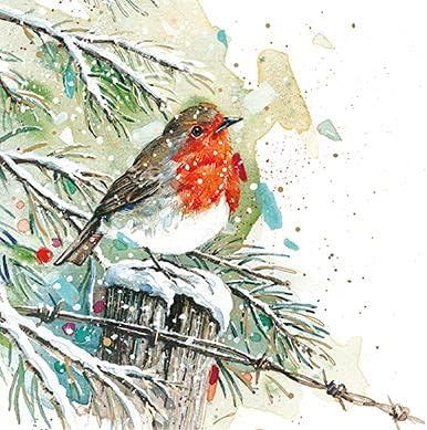 Ling Design Scenic Painted Art Charity Christmas Cards - Pack of 6 Xmas Cards - Set D (Robin On Perch), black|green|beige|red, Medium