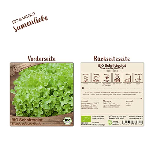 Samenliebe BIO Schnittsalat Samen Bionda a Foglia Riccia Wintersalat Salat grün 500 Samen samenfestes Gemüse Saatgut für Gewächshaus Freiland und Balkon BIO Gemüsesamen - Image 4