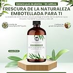 NaturoBliss 100% Pure Natural Undiluted Eucalyptus Essential Oil (4oz) Premium Therapeutic Grade Aromatherapy - Image 5