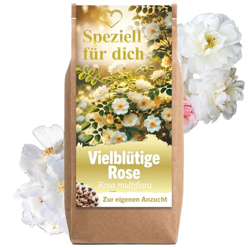 Geschenke für Frauen Vielblütige Rose Rosensamen Blumensamen Anzuchtset...