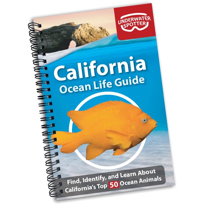 California Ocean Life Guide, Underwater Spotter Fish Identification Book For Scuba Divers, Snorkelers and Kids, 50 Fish Species and Marine Animals